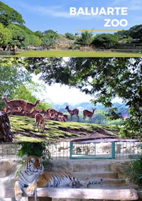 a tiger laying on a bench in a zoo